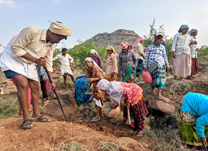 Rural Development